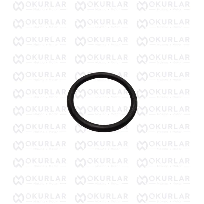 Cummins ISM11 QSM11 M11 Enjektör Kovan Oring Conta 3035026