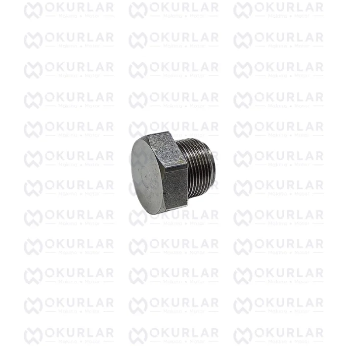 cummins-3055069-manyetik-tahliye-tapasi Cummins Manyetik Tahliye Tapası 3055069