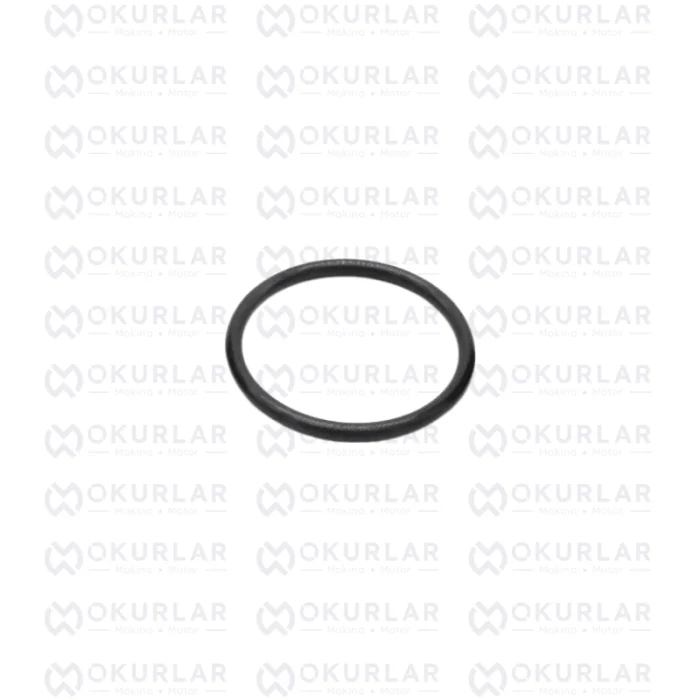 Cummins 6BT Sente Pimi Oring Conta 3913994