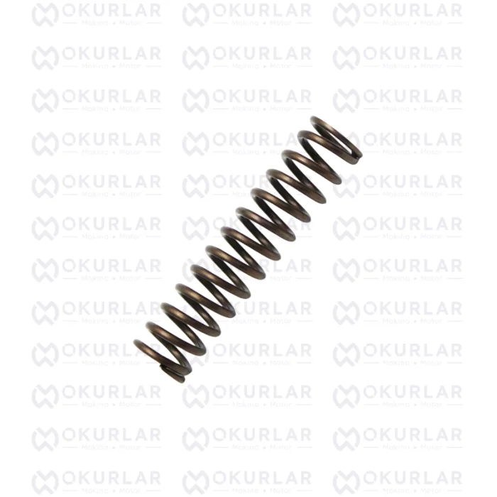 Cummins 6CT Sıkıştırma Yayı 3970655
