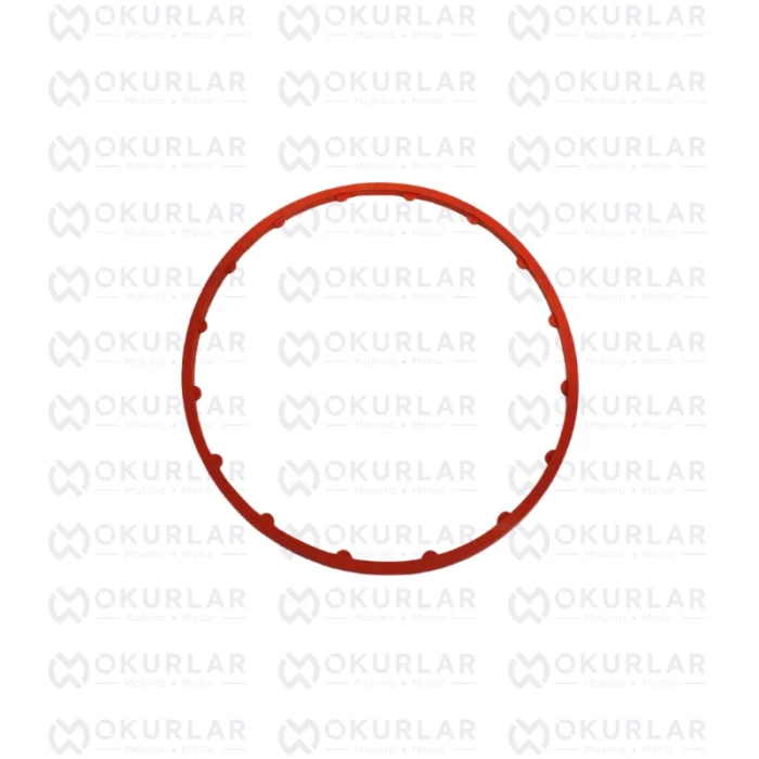 Cummins Kompresör Oring 5307960